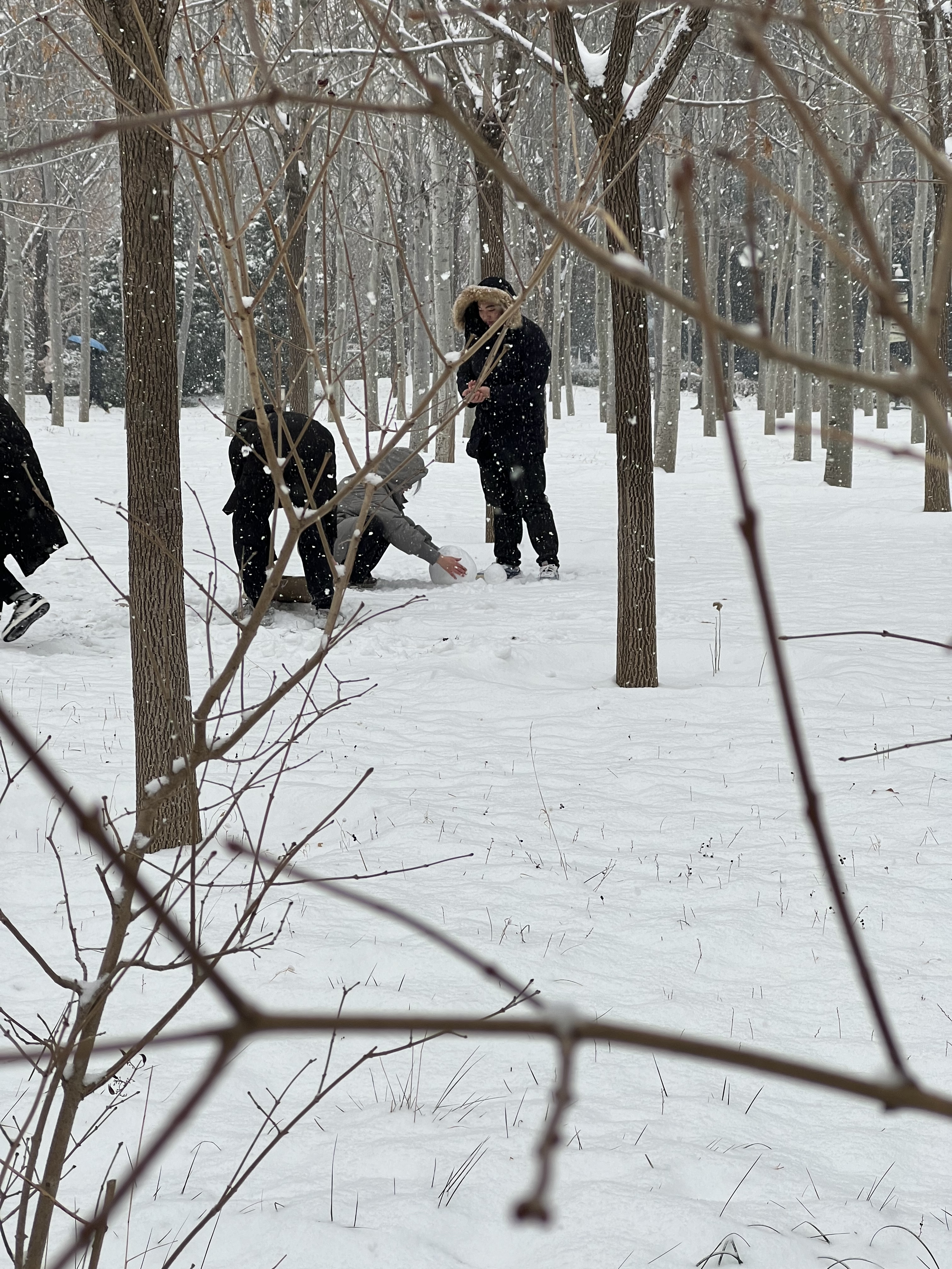 2023年12月13日拍的雪天和小雪人