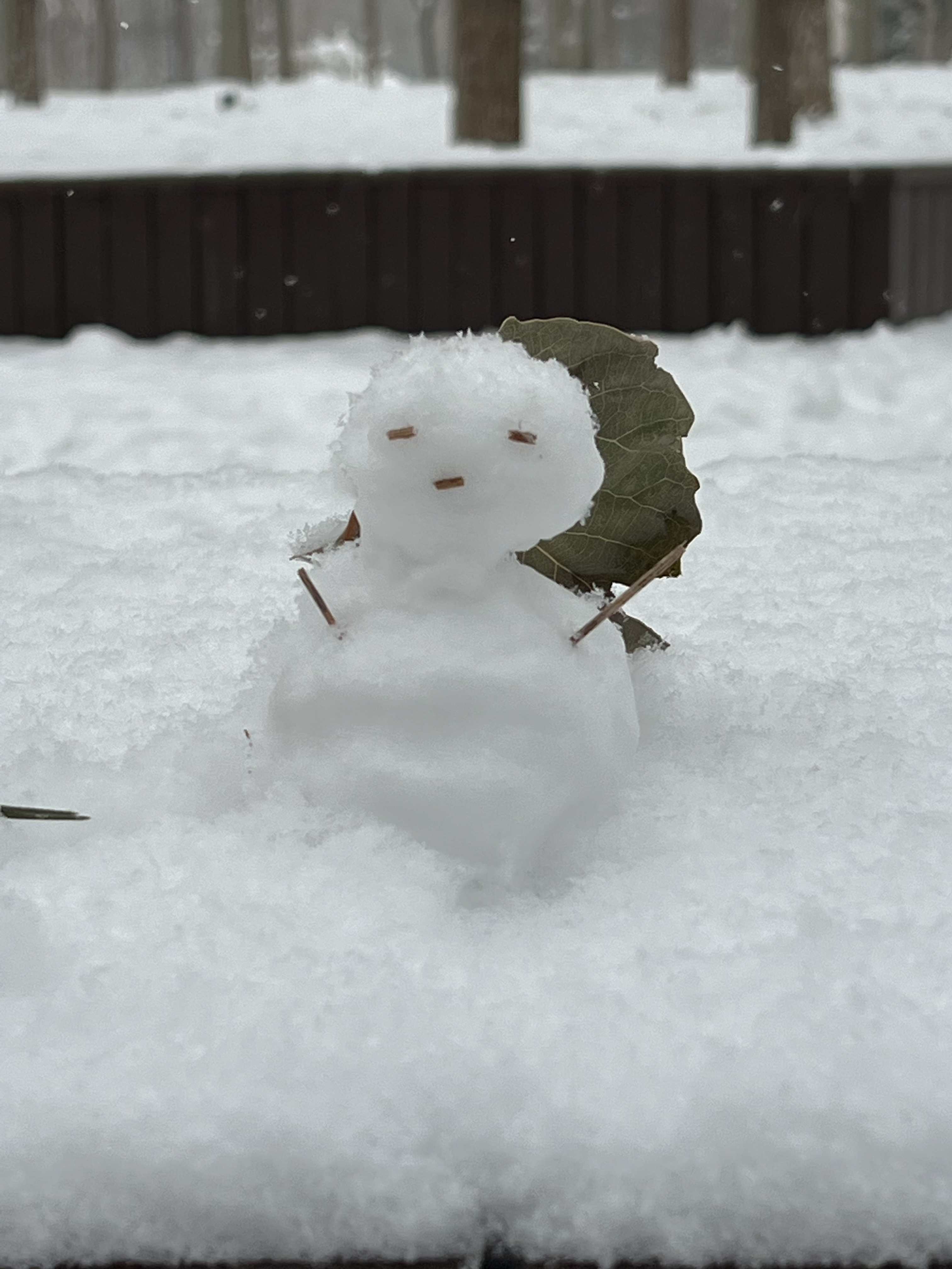 2023年12月13日拍的雪天和小雪人