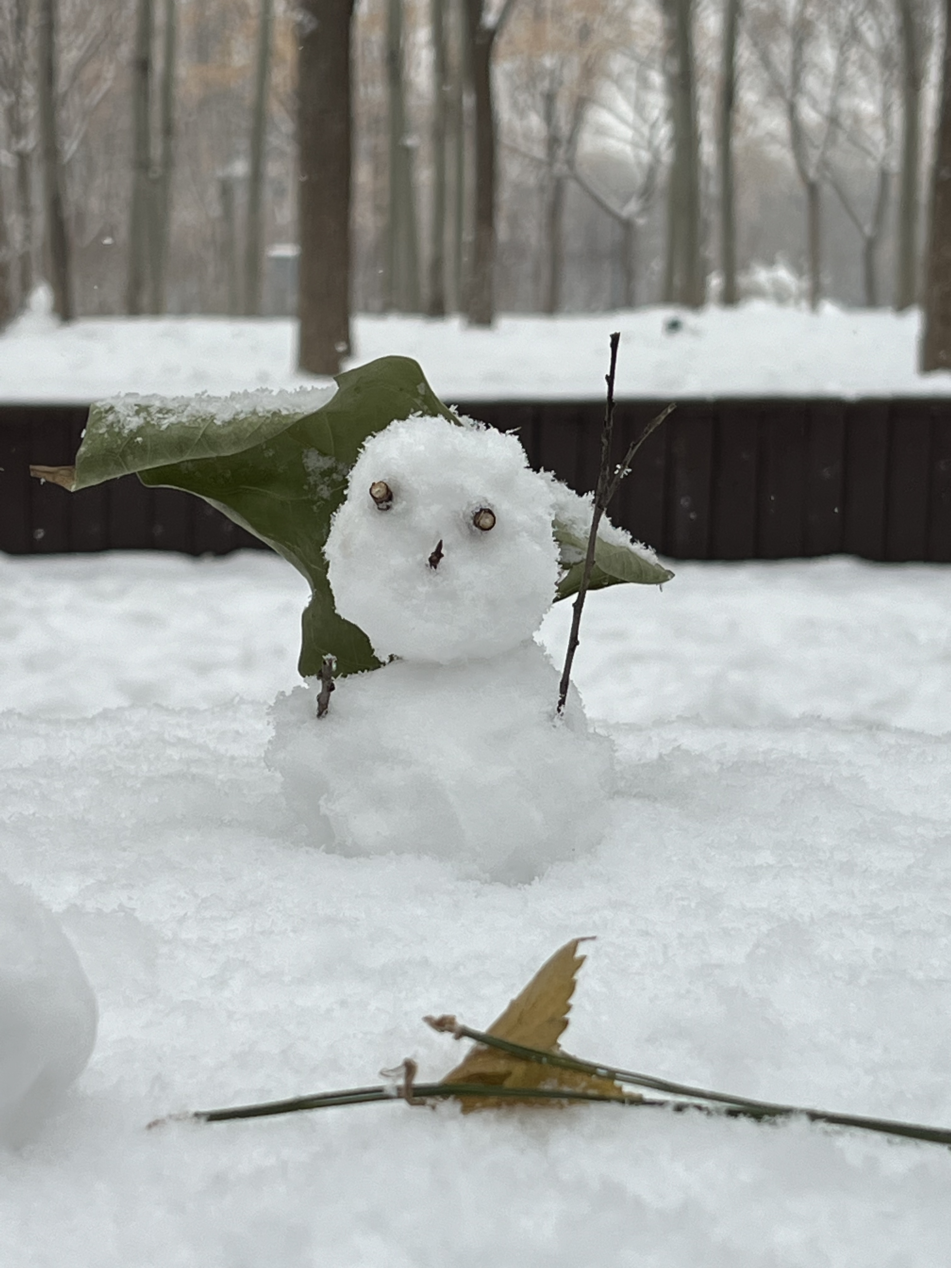 2023年12月13日拍的雪天和小雪人