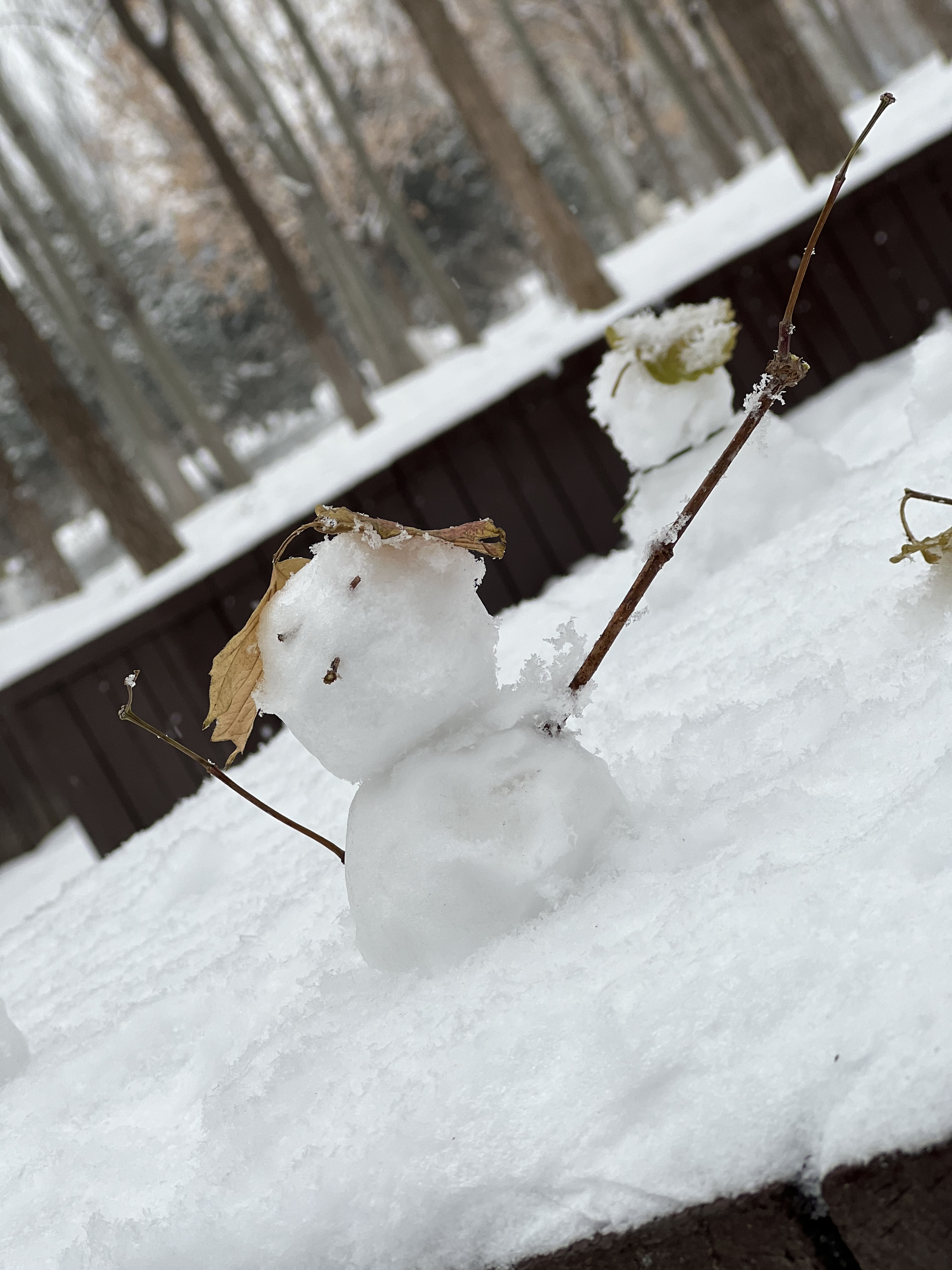2023年12月13日拍的雪天和小雪人