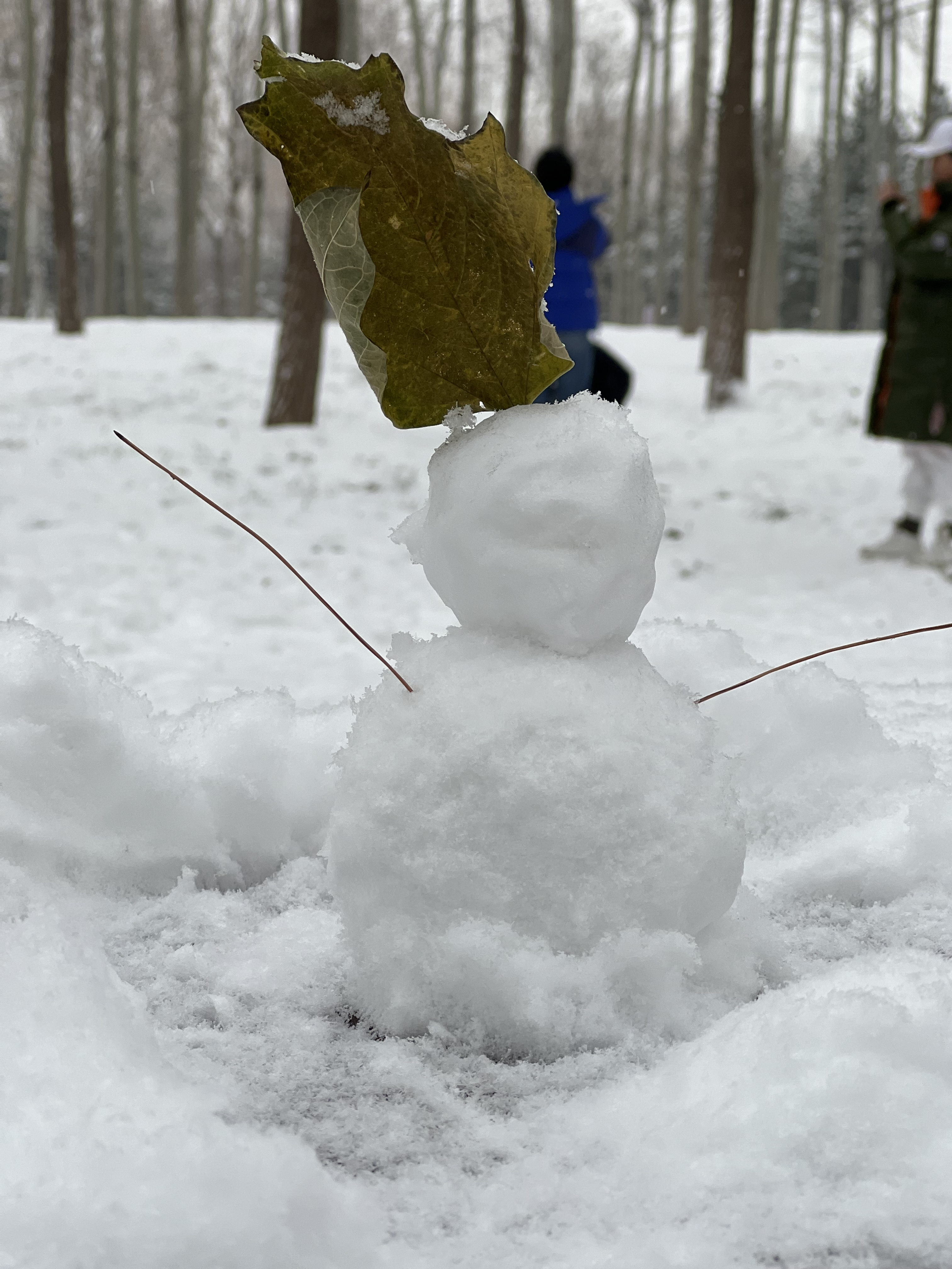 2023年12月13日拍的雪天和小雪人