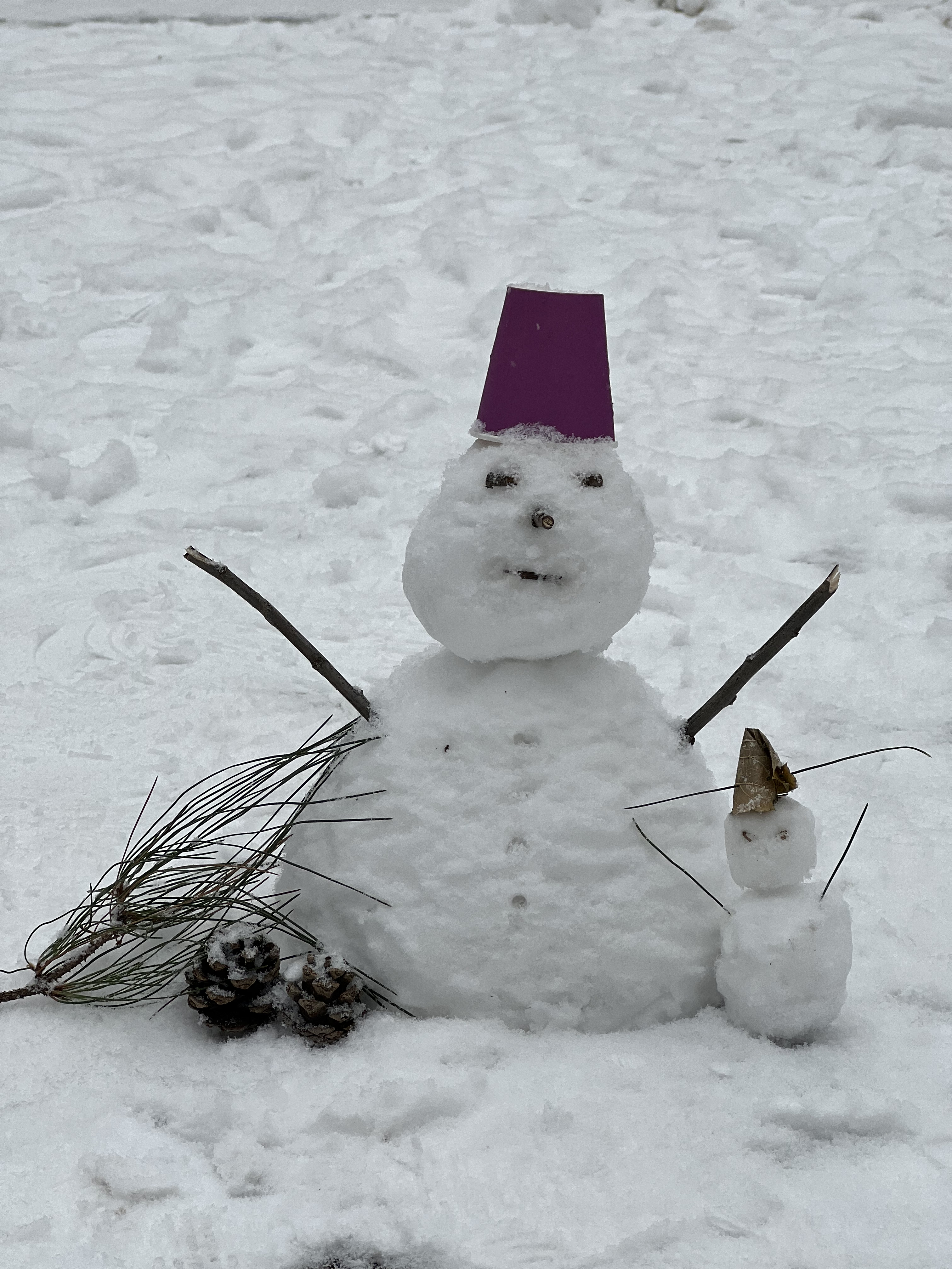 2023年12月13日拍的雪天和小雪人