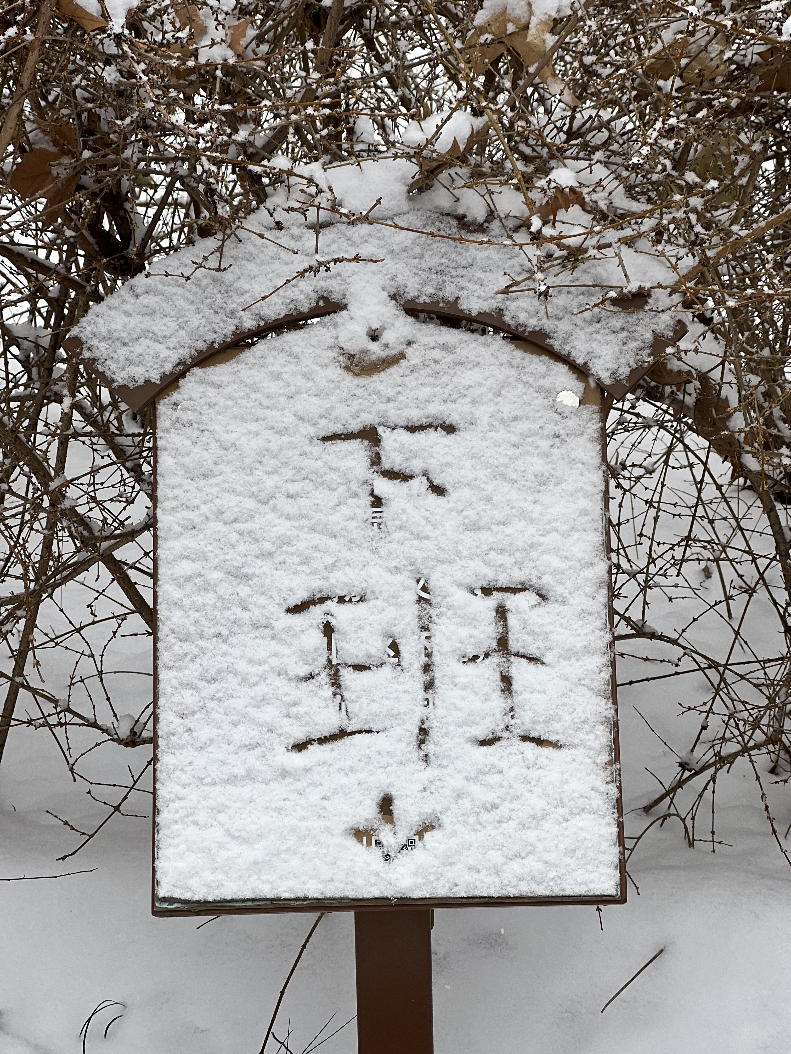 2023年12月13日拍的雪天和小雪人