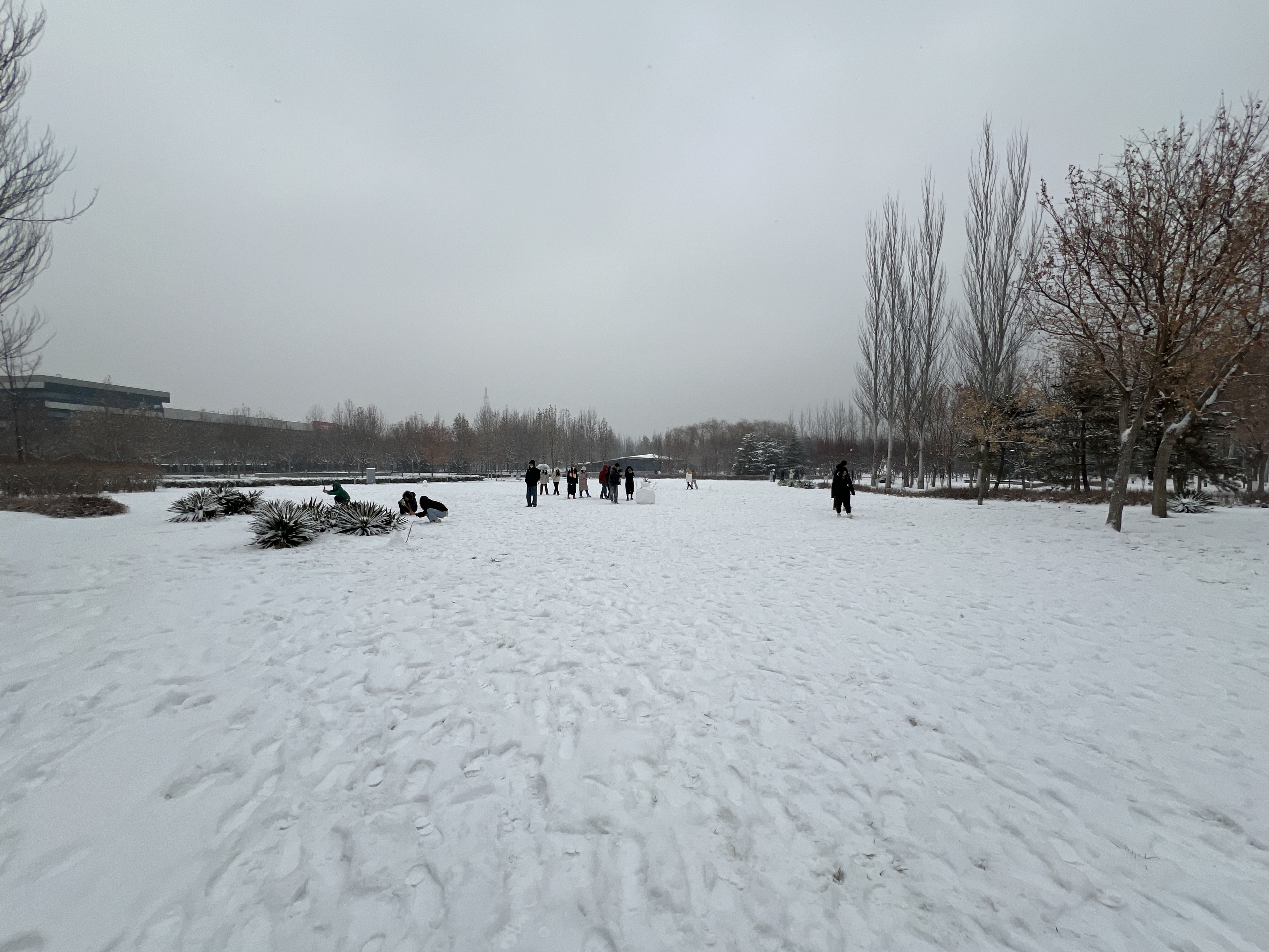 2023年12月13日拍的雪天和小雪人