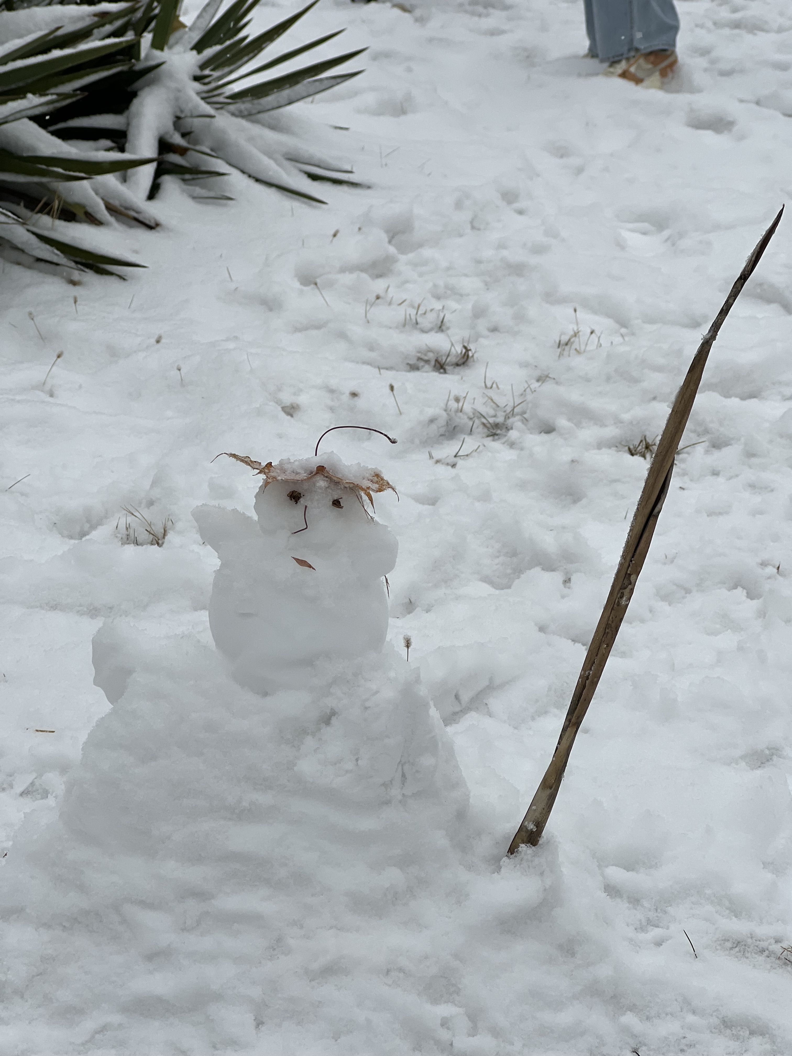 2023年12月13日拍的雪天和小雪人