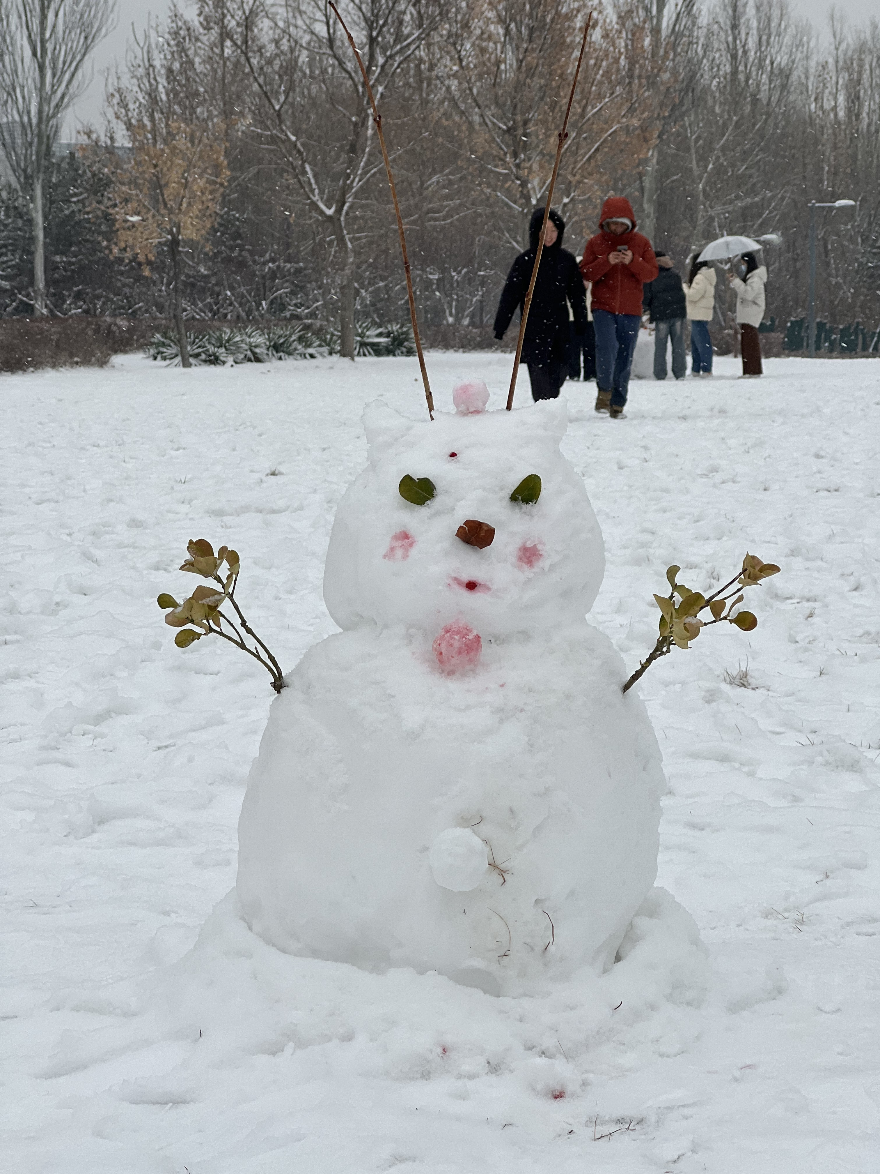 2023年12月13日拍的雪天和小雪人