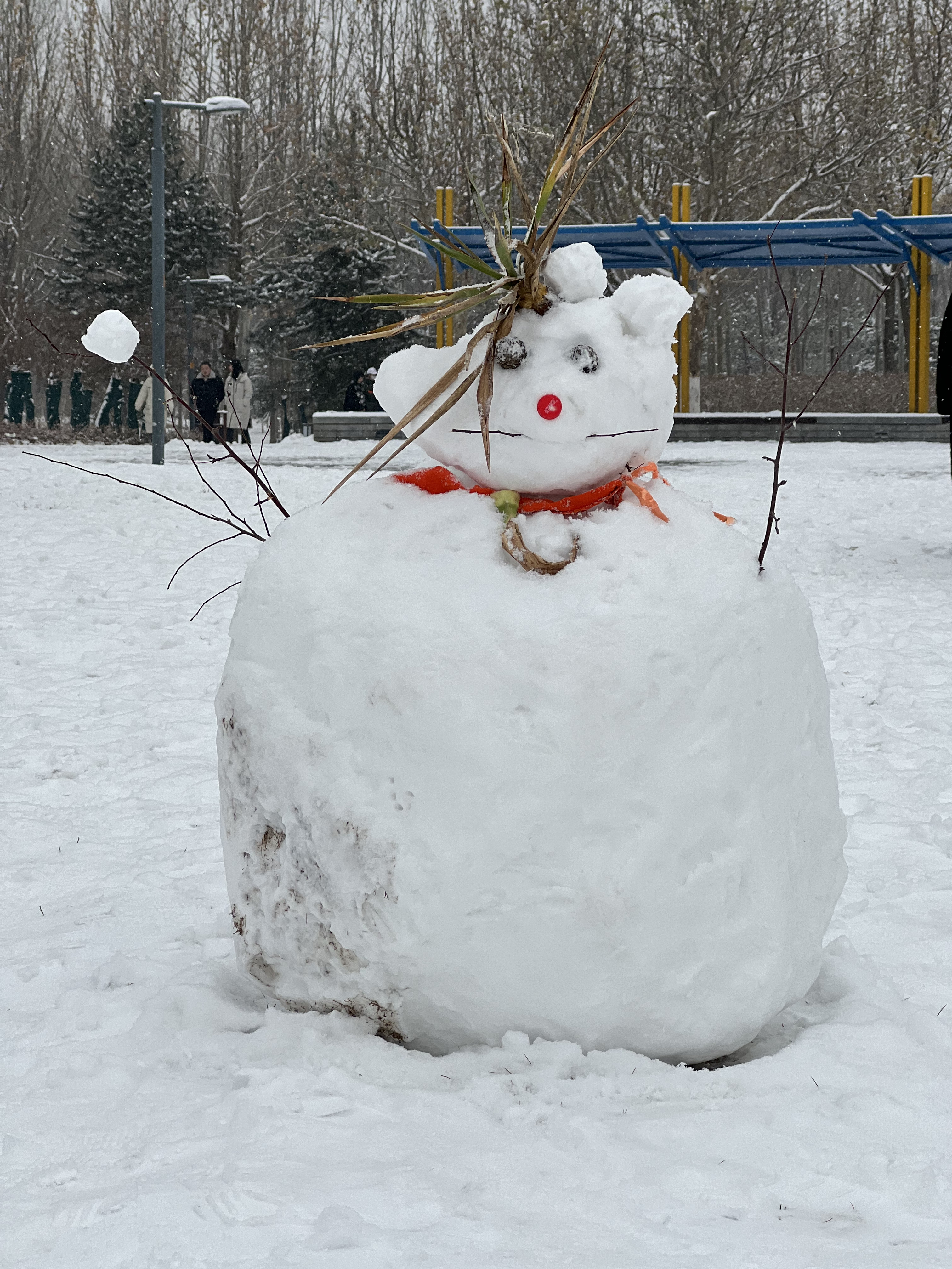 2023年12月13日拍的雪天和小雪人