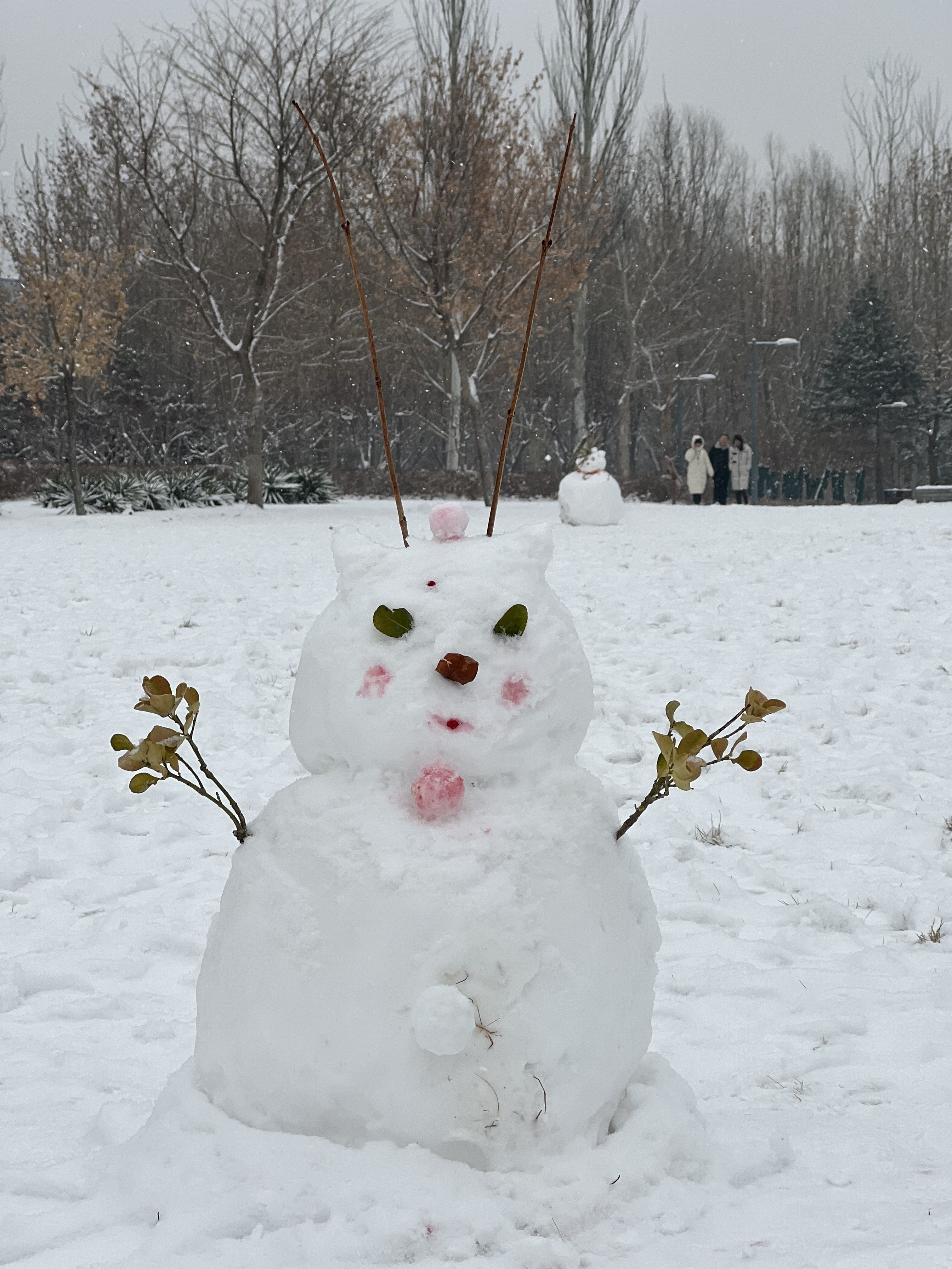 2023年12月13日拍的雪天和小雪人