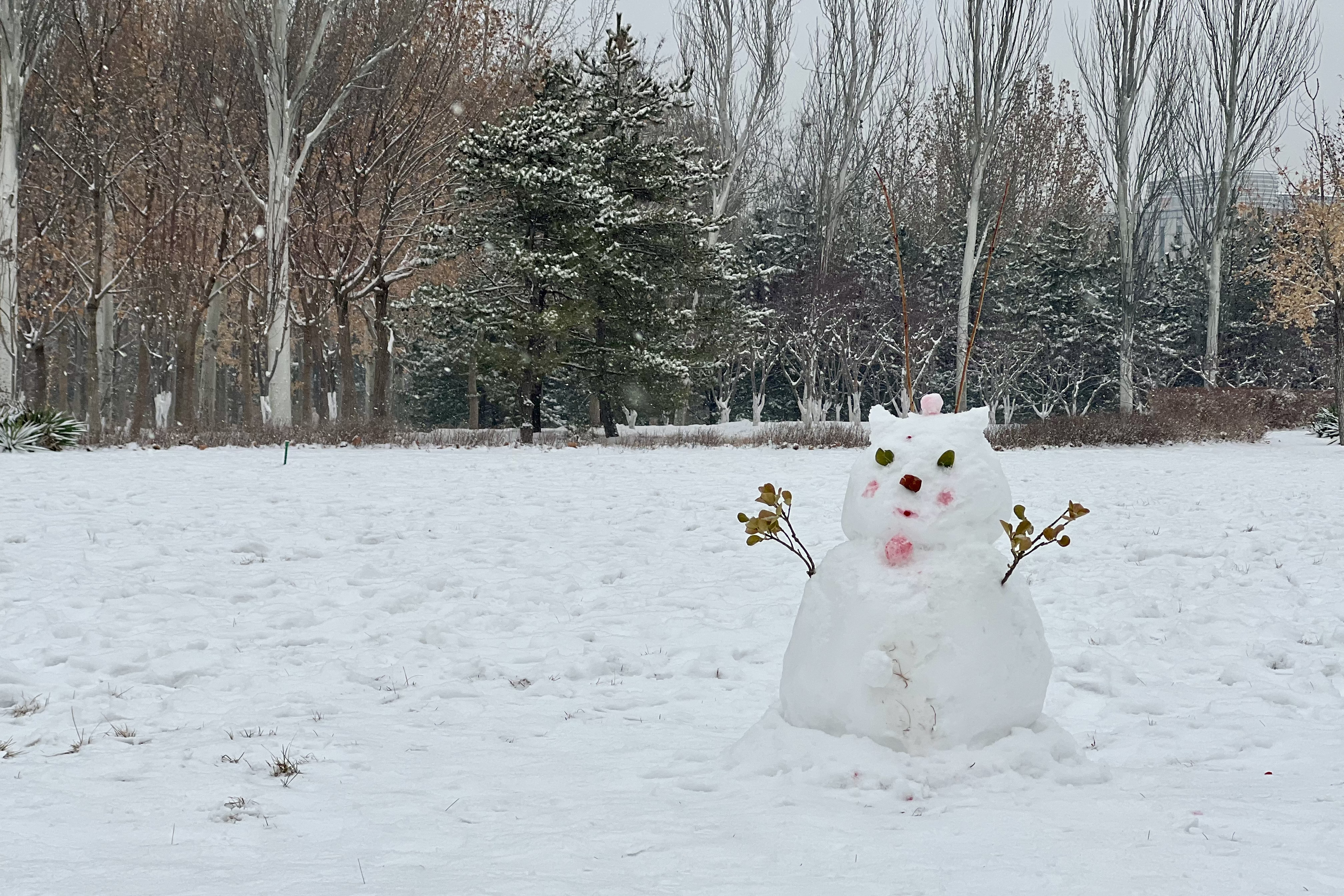 2023年12月13日拍的雪天和小雪人