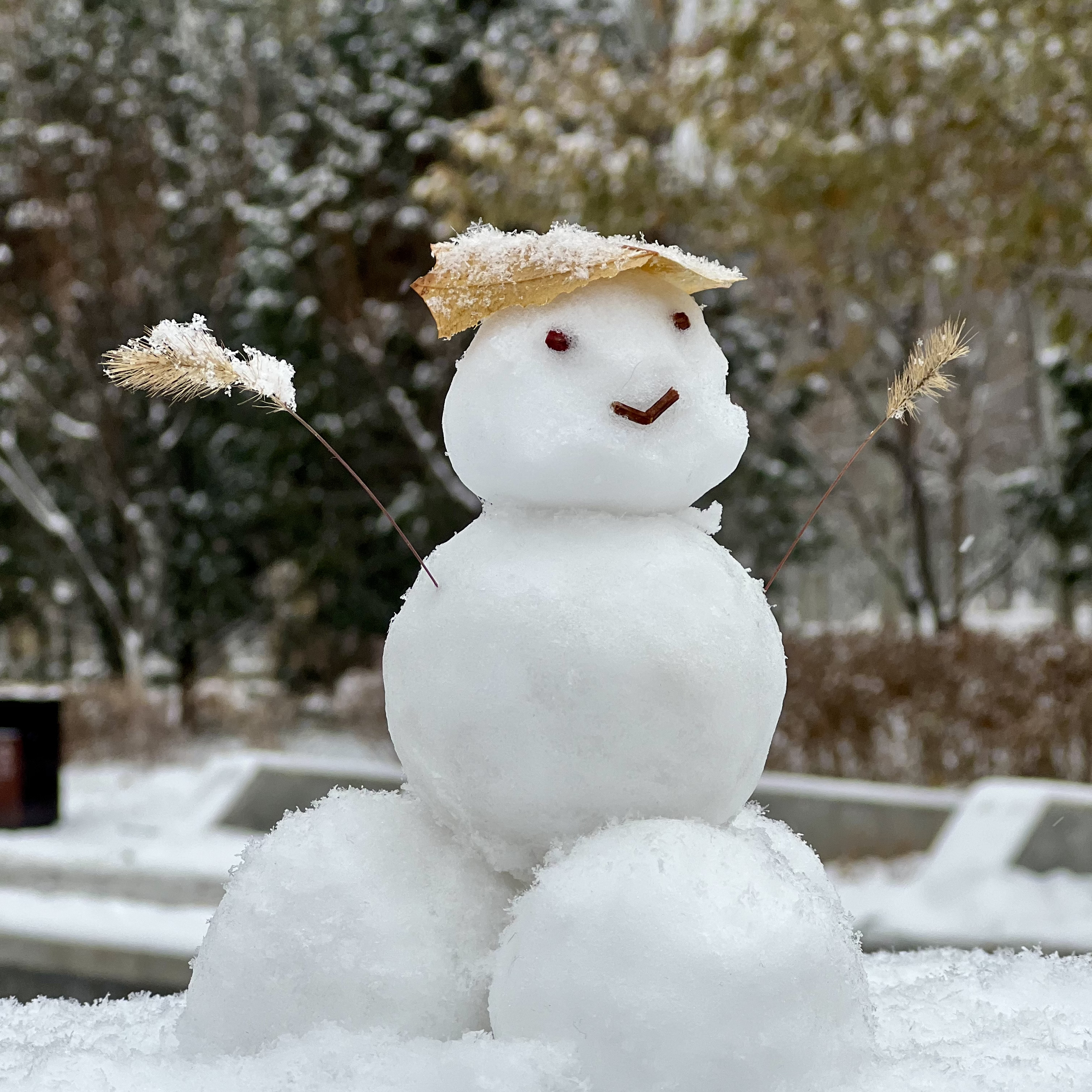 2023年12月13日拍的雪天和小雪人