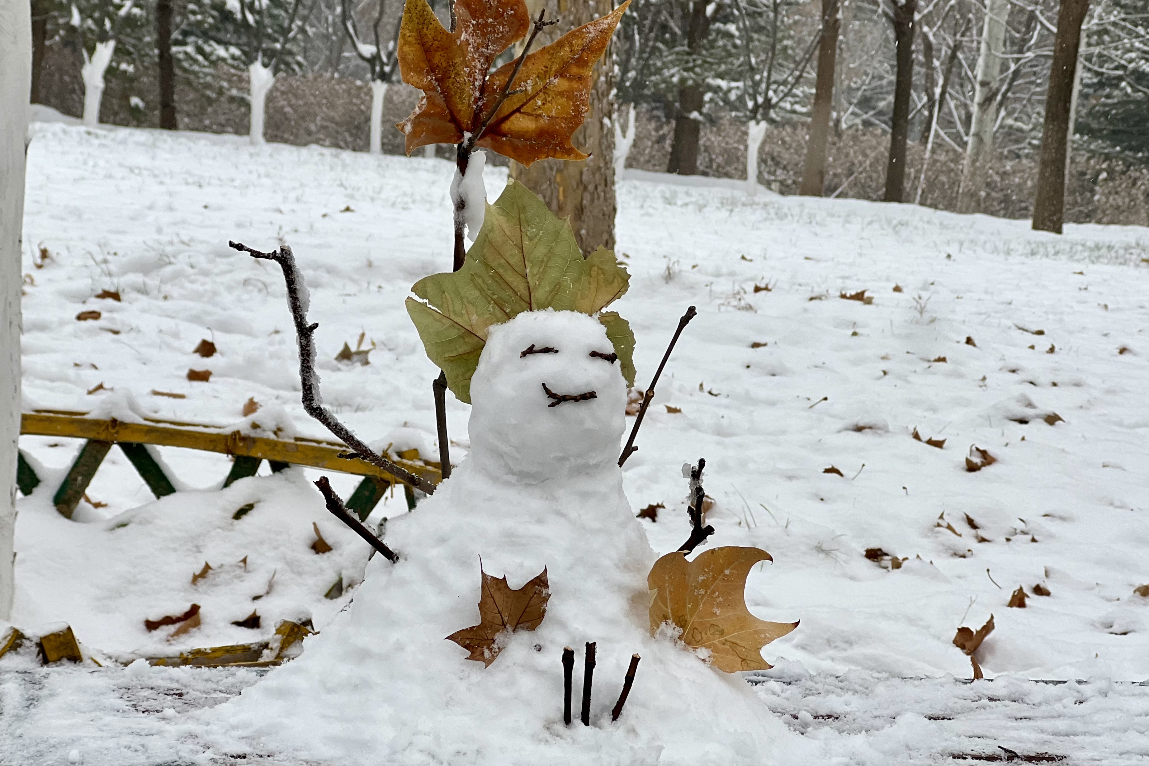 2023年12月13日拍的雪天和小雪人