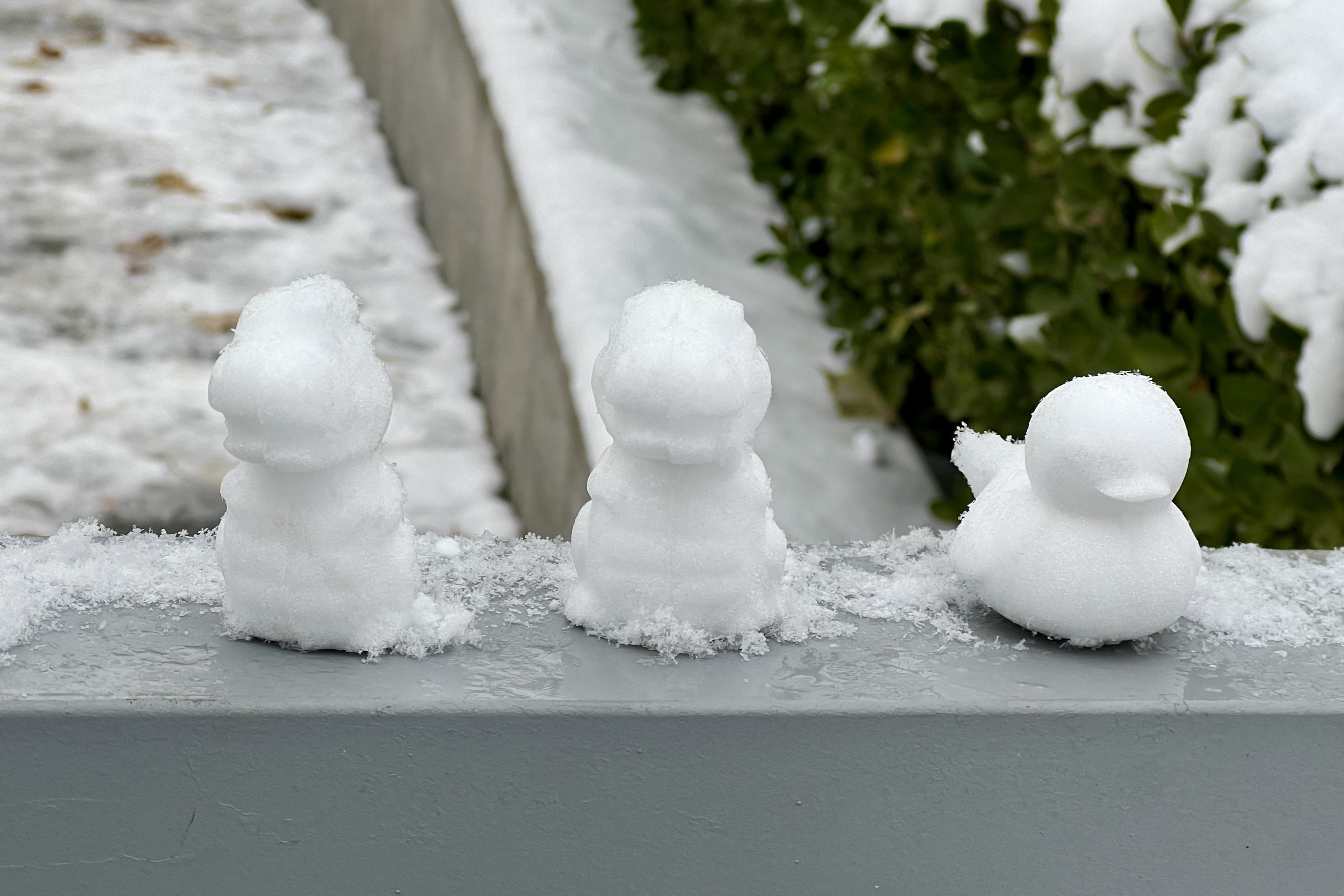 2023年12月13日拍的雪天和小雪人