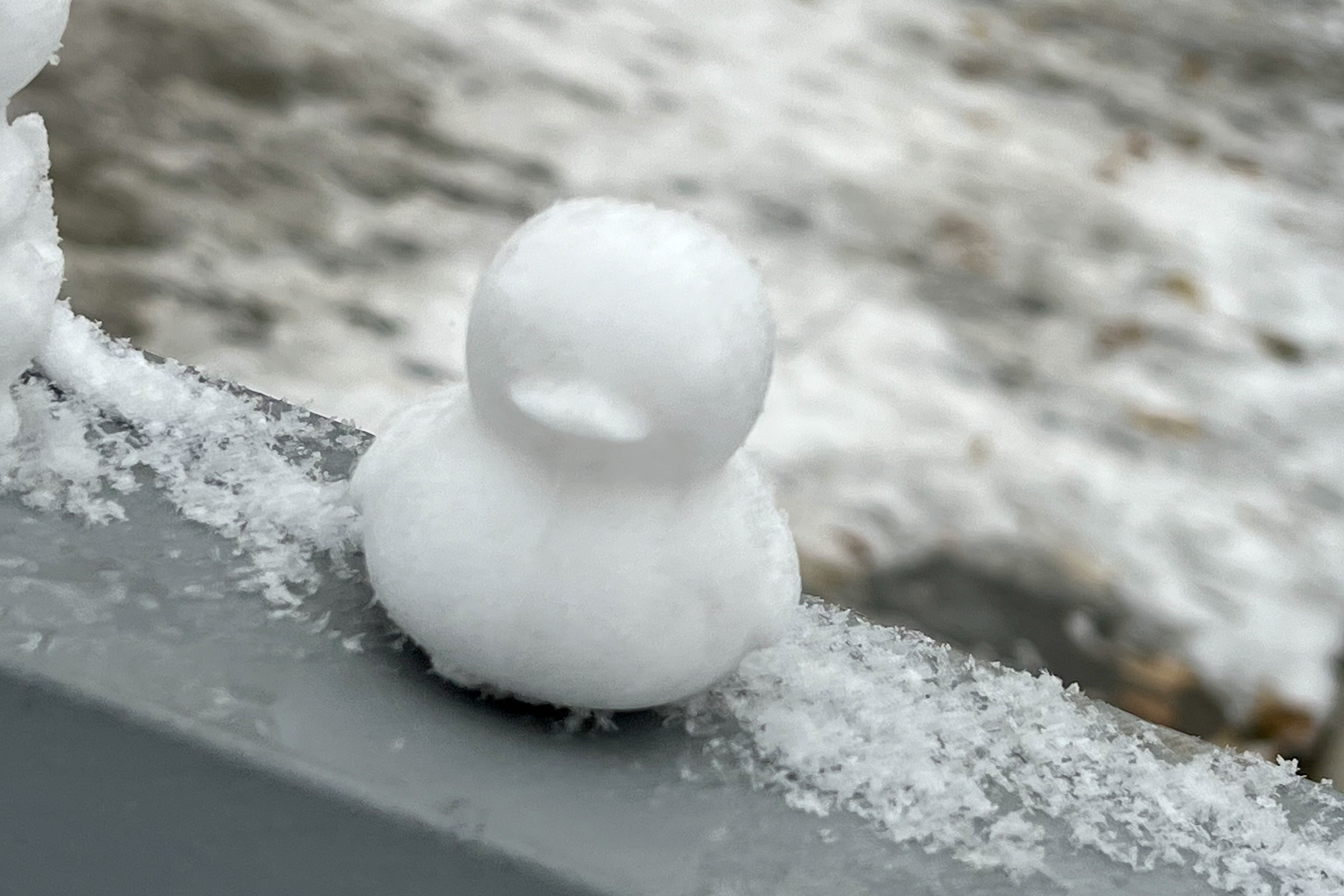 2023年12月13日拍的雪天和小雪人