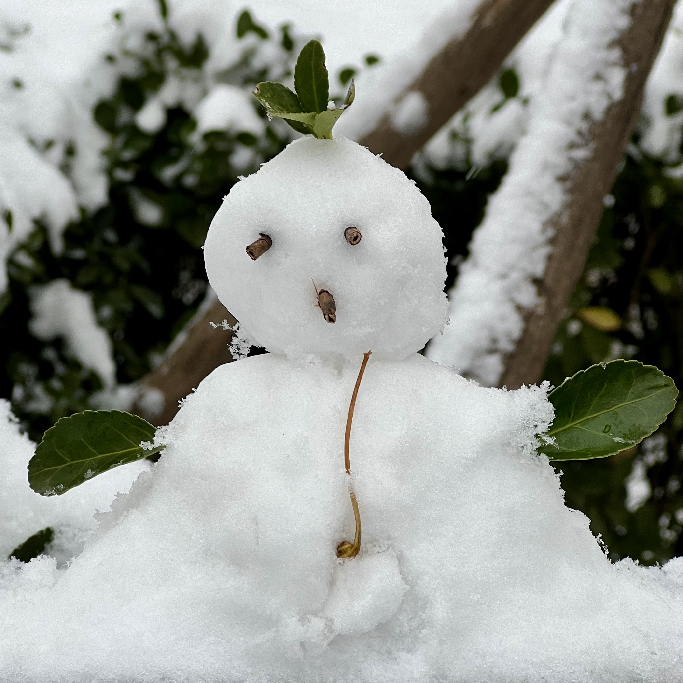 2023年12月13日拍的雪天和小雪人