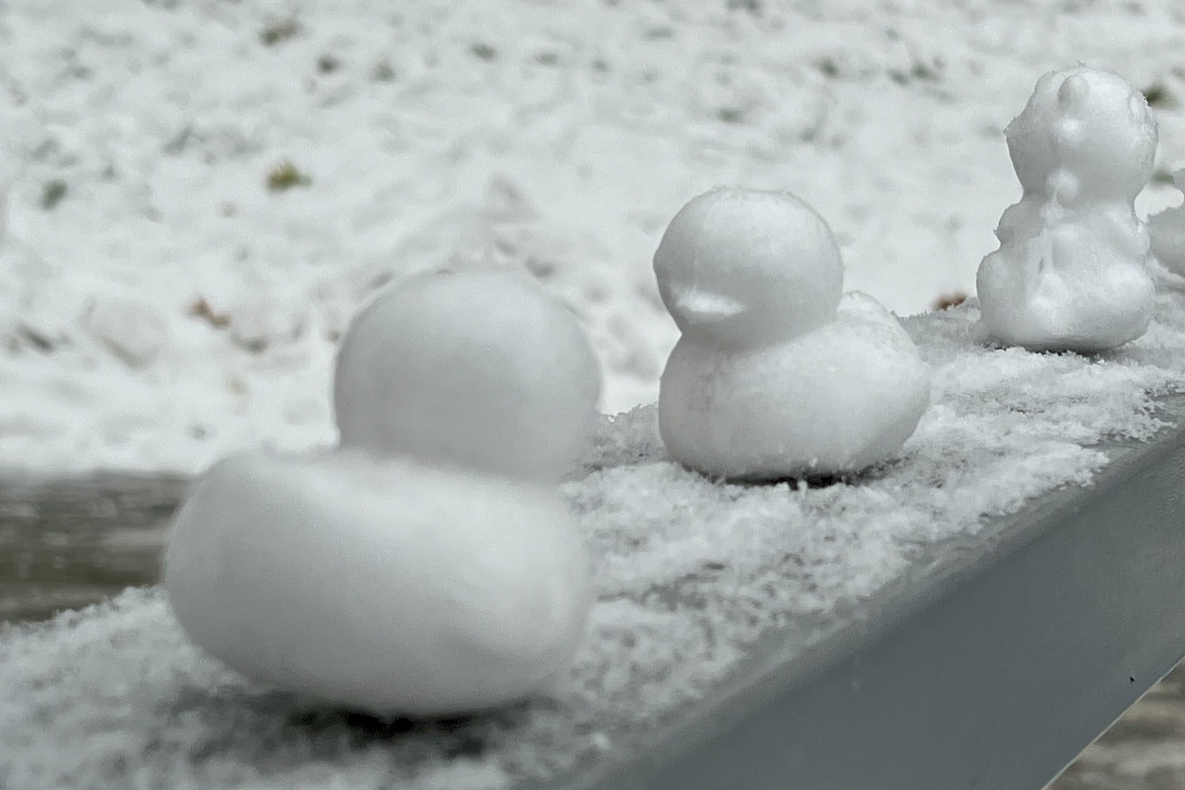 2023年12月13日拍的雪天和小雪人
