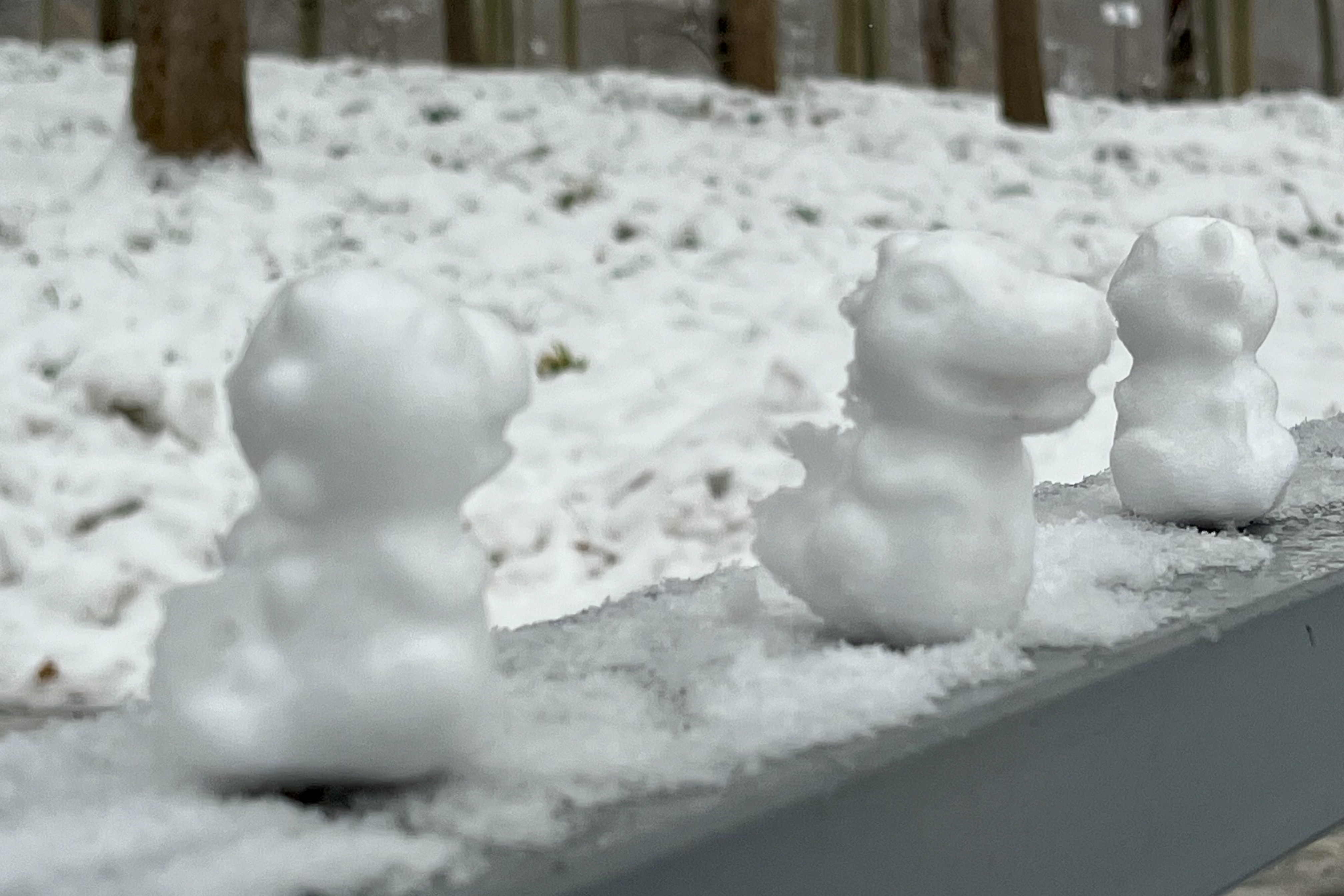 2023年12月13日拍的雪天和小雪人