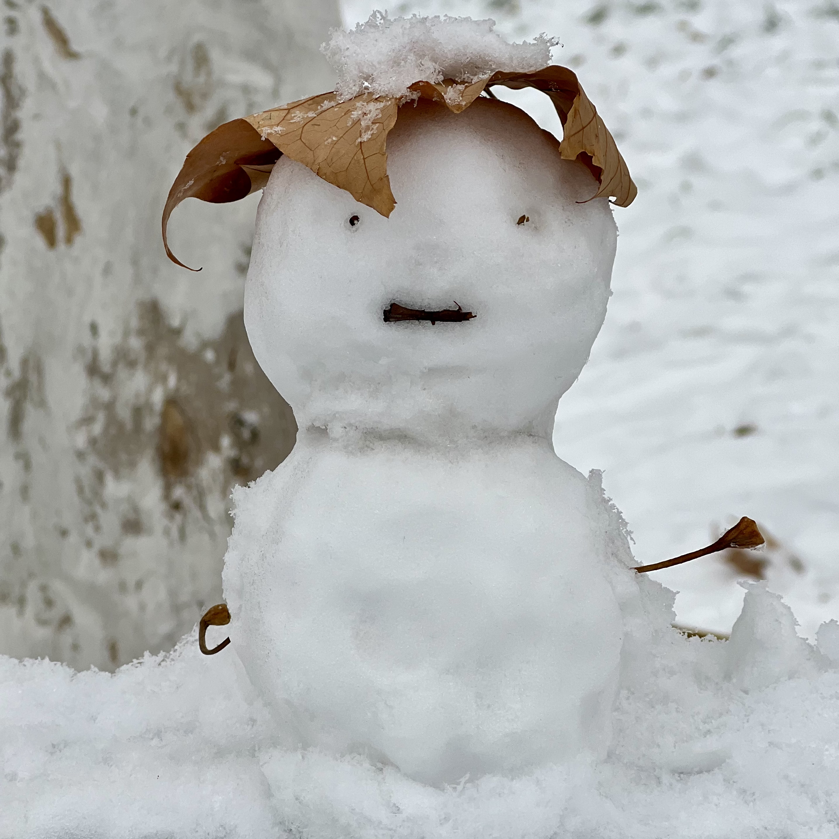 2023年12月13日拍的雪天和小雪人