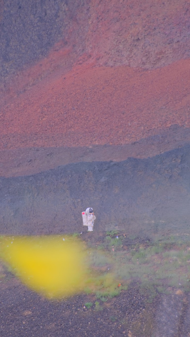 乌兰察布草原随手拍的草原和牛马