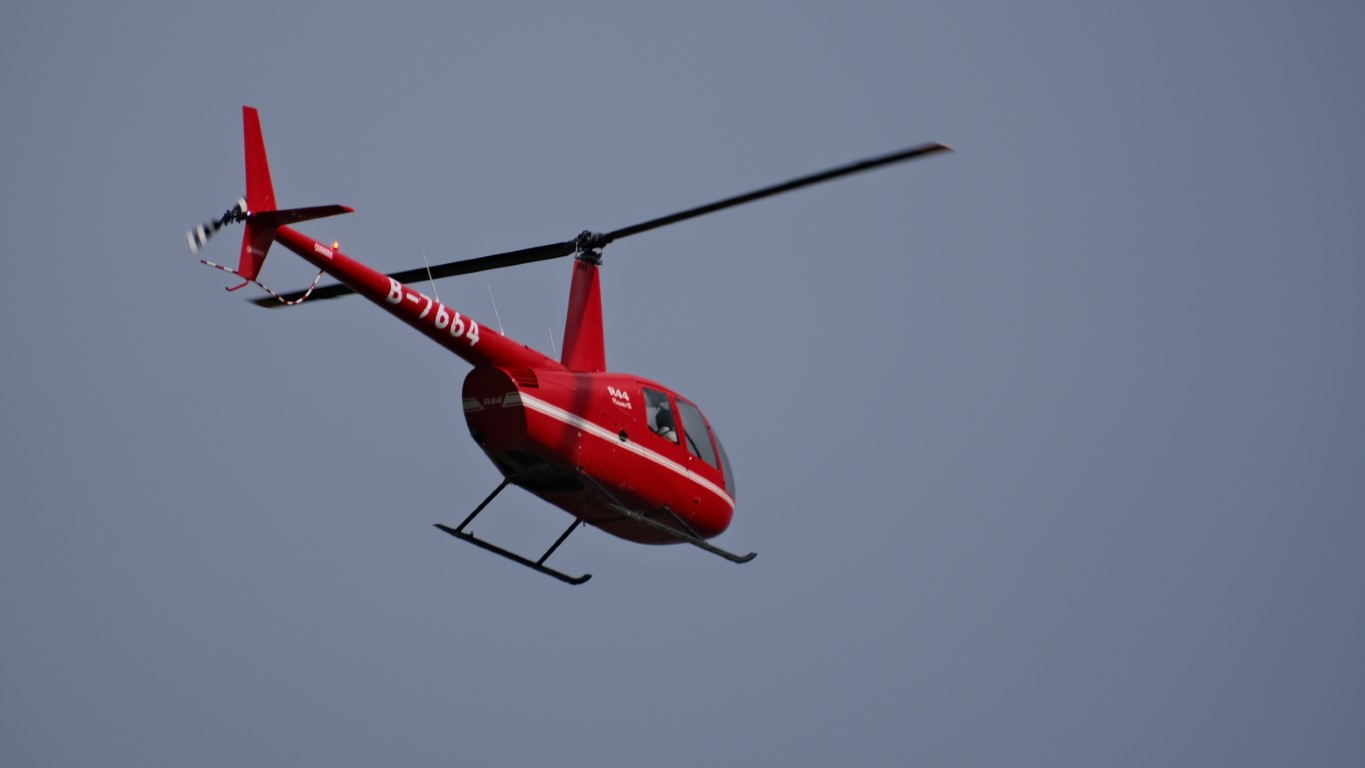 乌兰察布草原随手拍的草原和牛马