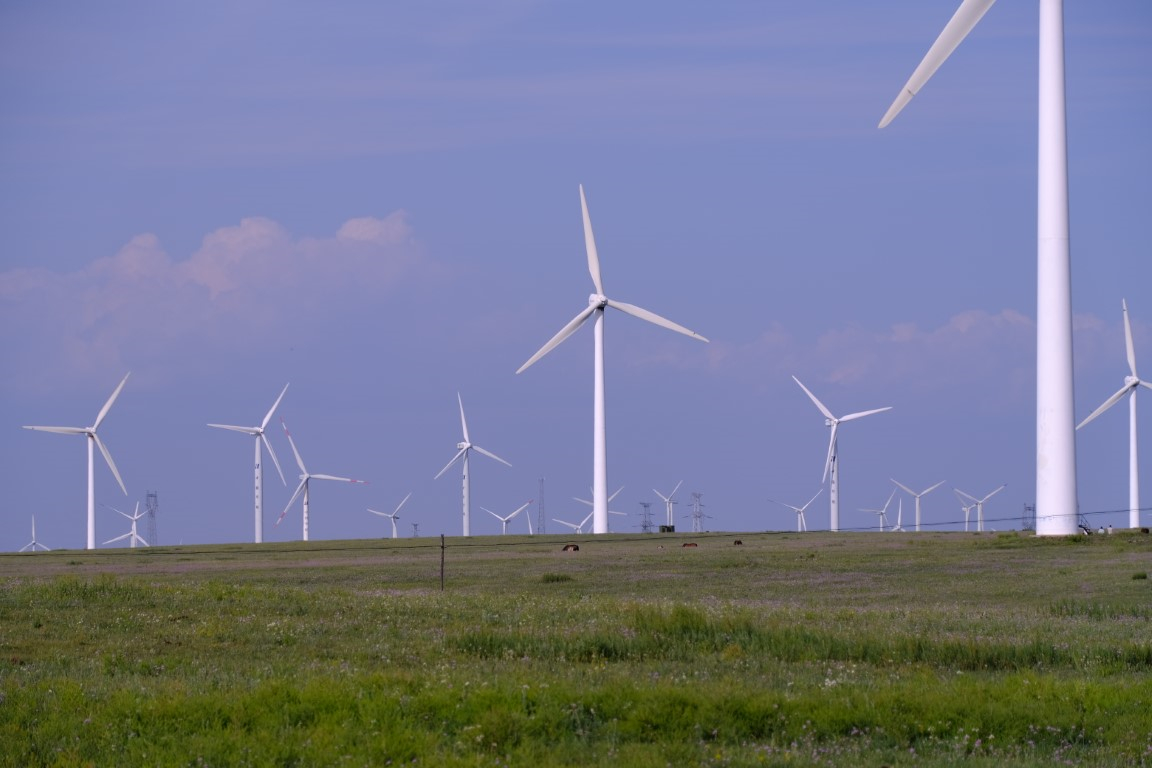 乌兰察布草原随手拍的草原和牛马