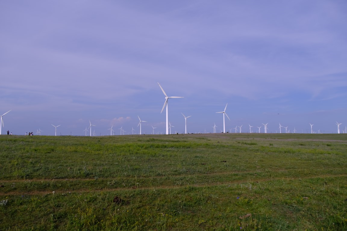 乌兰察布草原随手拍的草原和牛马
